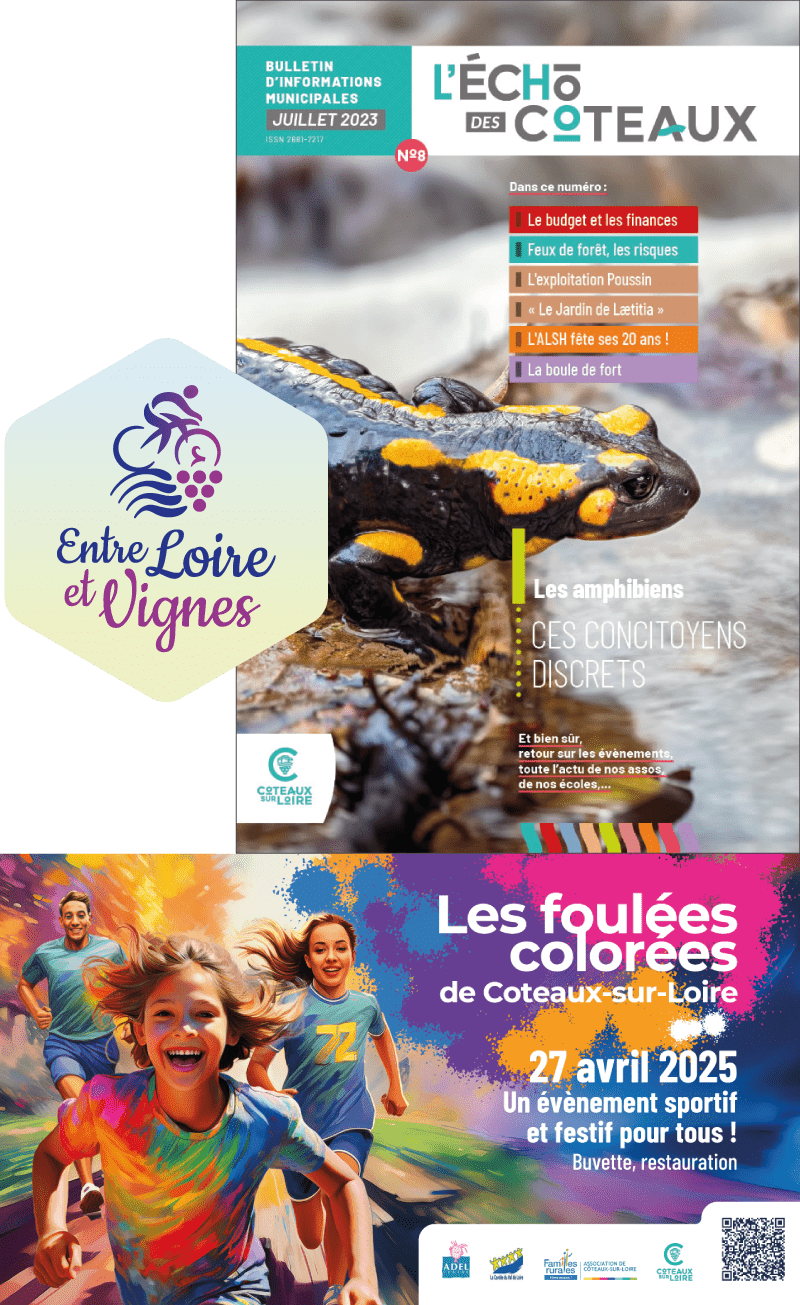 portfolio z-red : client commune de Coteaux-sur-Loire