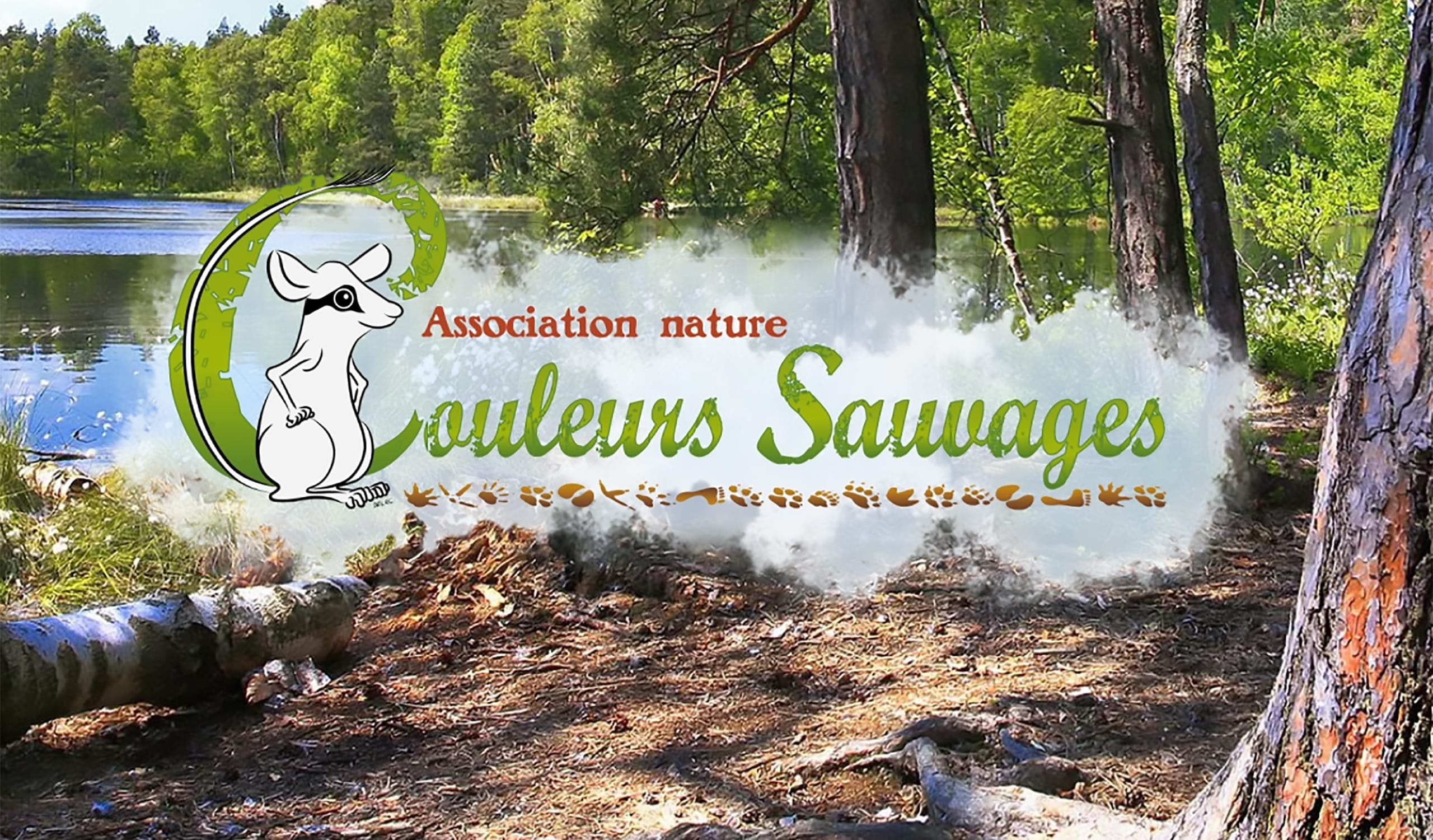 portfolio z-red : client Couleurs Sauvages